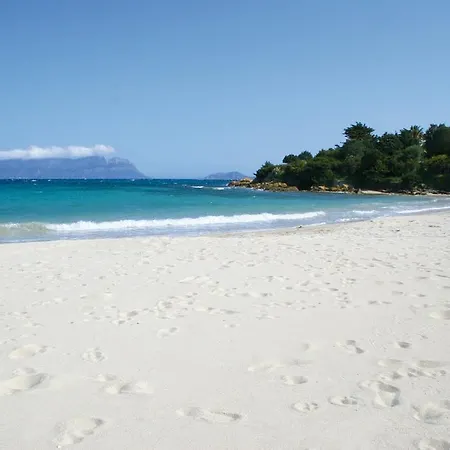 Pensionat Al Mare Da Francesca 3*